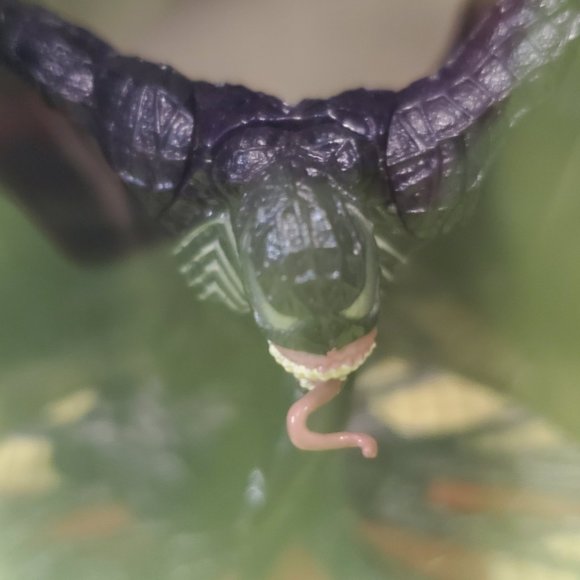 Venom (Titanium Series Die-Cast) - Picture 10 of 11